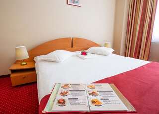 Отель Hotel Dana Сату-Маре Стандартный двухместный номер с 1 кроватью-3
