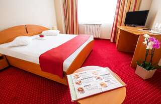 Отель Hotel Dana Сату-Маре Стандартный двухместный номер с 1 кроватью-4